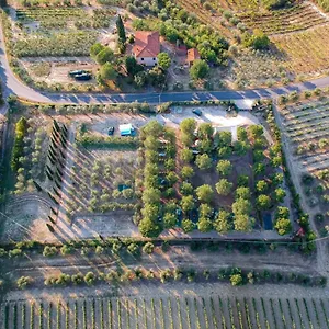 agricamping-poggio-ai-pini.it-tuscanyhotel.com/